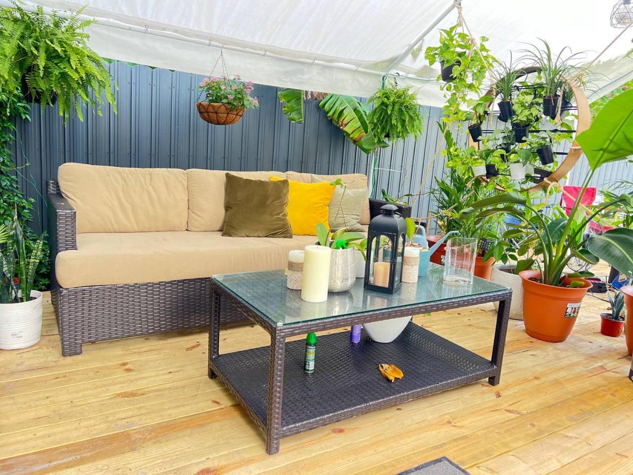 Homestay Work, Rest And Play: Wifi, Tv And Backyard Bliss
